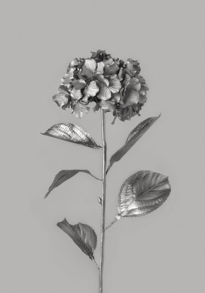 martasanchezmarco_silverflowers (11)