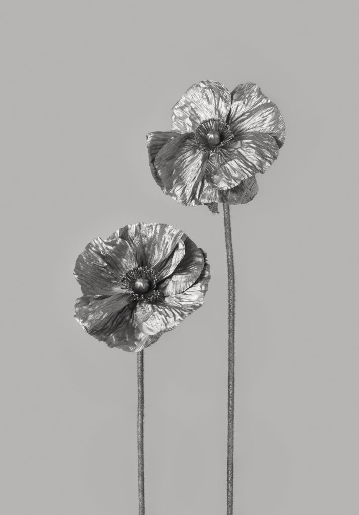 martasanchezmarco_silverflowers (12)